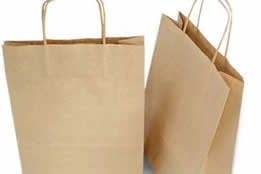 Paper Bag